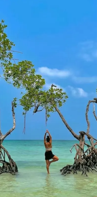 Scuba Diving in Andaman